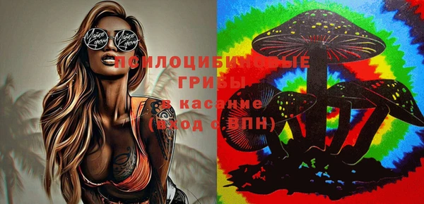 твердый Михайловка