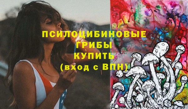твердый Михайловка