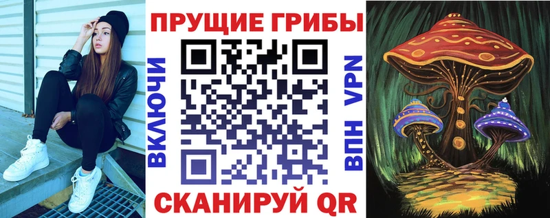 ОМГ ОМГ сайт  Ростов-на-Дону  Псилоцибиновые грибы ЛСД 