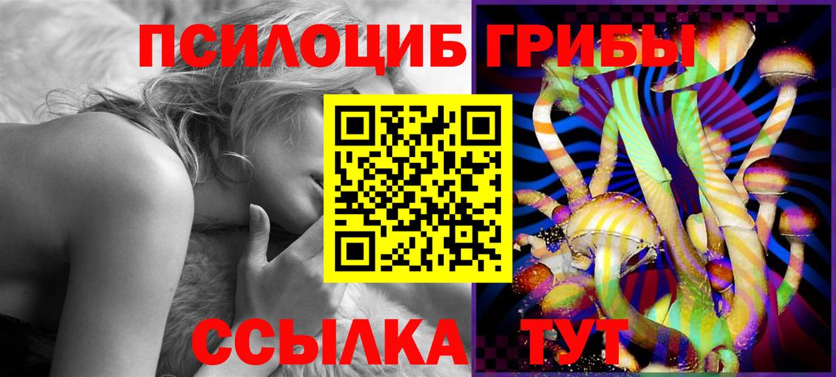 Галлюциногенные грибы прущие грибы Ростов-на-Дону